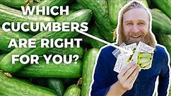 EVERYTHING You Need To Know About Cucumber Types