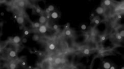 Free HD Background - Black & White Abstract Particle Loop