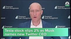Tesla stock dips after Musk names new Twitter CEO. Here's what the experts say to do next