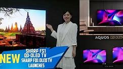 Sharp Introduces NEW Sharp FS1 QD-OLED & Sharp FQ1 WOLED TVs - Samsung S95C & Sony A95L Alternative