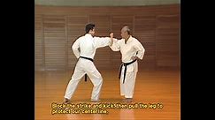 The Essence of Okinawan Karate "Strike the Kata (Form)"
