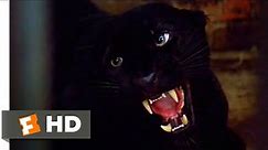 Cat People (1982) - Vicious Leopard Scene (3/10) | Movieclips