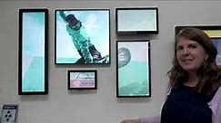 BrightSign Virtual Showroom Tour: Video Walls, Kiosks, & Interactive Signage.