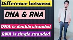 Difference b\w DNA & RNA |DNA vs RNA |What is RNA |What is DNA|#biology