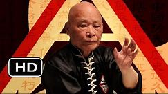 Hung Gar Fighting Techniques: Grandmaster YC Wong Lessons
