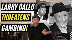 WHY WAS CARLO GAMBINO THREATENED BY CRAZY JOE'S BROTHER? LARRY GALLO ANNOUNCES LIST OF KILL TARGETS