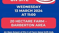 Bid for Bliss: 20-Hectare Farm Auction in Barberton! 🌾🏡