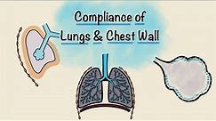 Lung and Chest wall Compliance | Breathing Mechanics | Respiratory Physiology