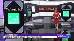 Netflix password changes