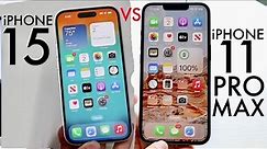 iPhone 15 Vs iPhone 11 Pro Max! (Comparison) (Review)