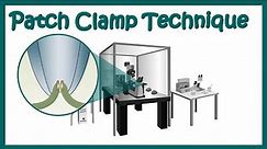 Patch clamp | Electrophysiology | Patch clamp method | Voltage clamp | whole cell recording