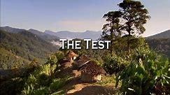 The Test.