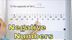 What are Negative Numbers? - [7-1-1]