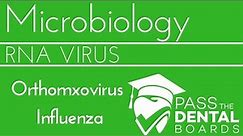 Orthomyxovirus and influenza - RNA Viruses - NBDE/USMLE