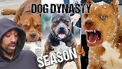 Dog Dynasty: Entire Season 4