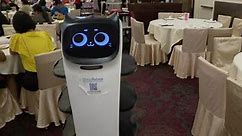 Bellabot robot cat server helping customers at restaurants across NYC