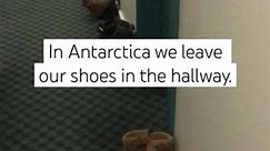 Why do you think we leave our shoes in the hallway in Antarctica?