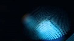 Macro close up of human fingerprint illuminated in blue light