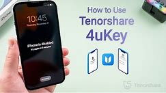 How to Unlock iPhone without Passcode using Tenorshare 4uKey (If Forgot)