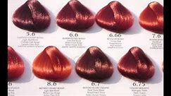☆ different shades of red hair color chart red hair color chart ☆ Style