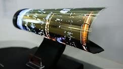 Flexible OLED display by LG
