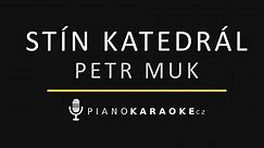 Petr Muk - Stín katedrál | Piano Karaoke Instrumental