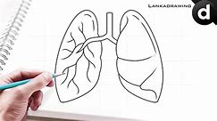how to draw human organs lungs simple and easy