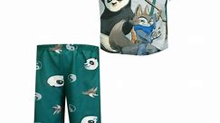 American Marketing Enterprises INC Boys Kung Fu Panda 4 Po and Zhen Kids Pajamas (6) - Walmart.ca