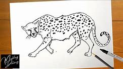 How to Draw Cheetah Easy Step by Step