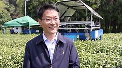Intelligent robots assist tea picking in China