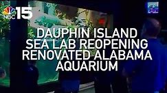 Dauphin Island Sea Lab reopening renovated Alabama Aquarium - NBC 15 WPMI
