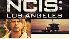 NCIS: Los Angeles: Season 13 Episode 18 Hard For The Money