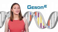 What is the difference between genetics and genomics?