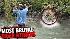 The Most BRUTAL Tiger Attacks MARATHON!