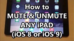 iPad Air 2 How to Mute and Unmute (Any iPad, Air, Mini, Pro iOS 9)