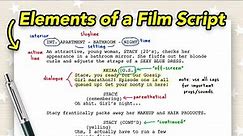 Basic Elements of a Film Script for BEGINNERS! (How To Format, Read and Write a Screenplay!)