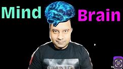 Mind Vs Brain What Is The Different Between Brain and Mind