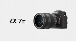 Product Feature | Alpha 7 III | Sony | α