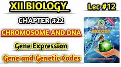 Gene and genetic code lec 12 || Chromosome and DNA class 12 biology