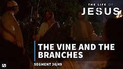 The Vine and the Branches | The Life of Jesus | #36