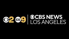 Daily Guest Segments - KCAL / CBS Los Angeles