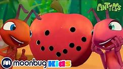 Holy Apple! | Antiks Adventures | Learn ABC 123 | Fun Cartoons | Moonbug Kids