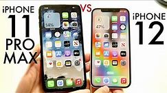 iPhone 11 Pro Max Vs iPhone 12 In 2024! (Comparison) (Review)