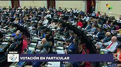 Diputados argentinos aprobaron con 142 votos a favor la ley bases