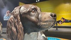 Dogs! A Science Tail exhibit opens at the Orlando Science Center