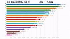 【数据可视化】中国各年龄段人数分布