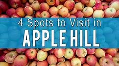 Apple Hill: 4 Ranches to Visit for Apple Picking and Donuts
