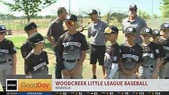 Woodcreek Little League Baseball