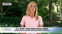 Child cobalt miners' deaths: Tech giants sued