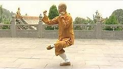 Shaolin Kung Fu Combat Styles: 15. small Buddha form (小罗汉拳: xiao luohan quan)